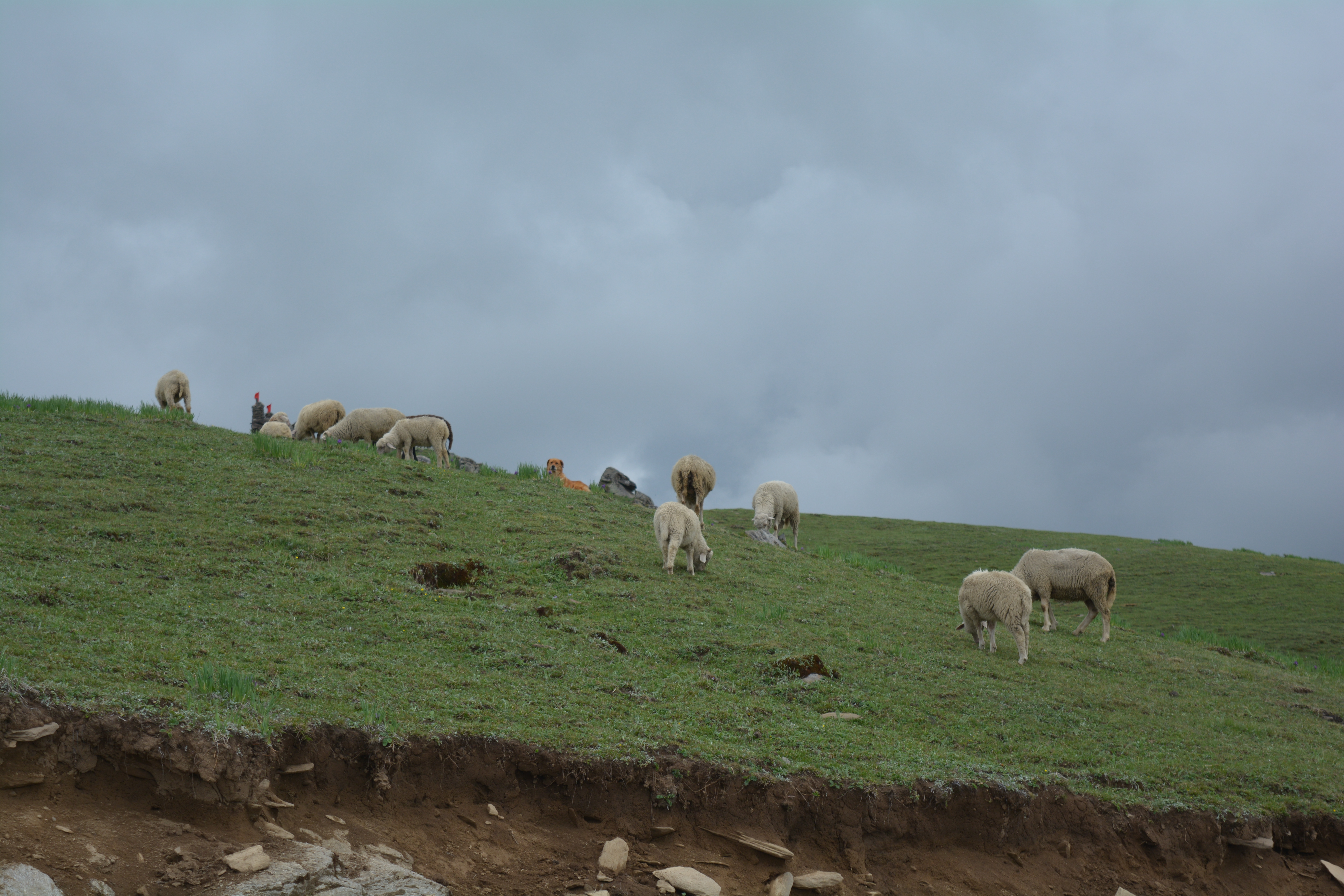 Chanshal Pass